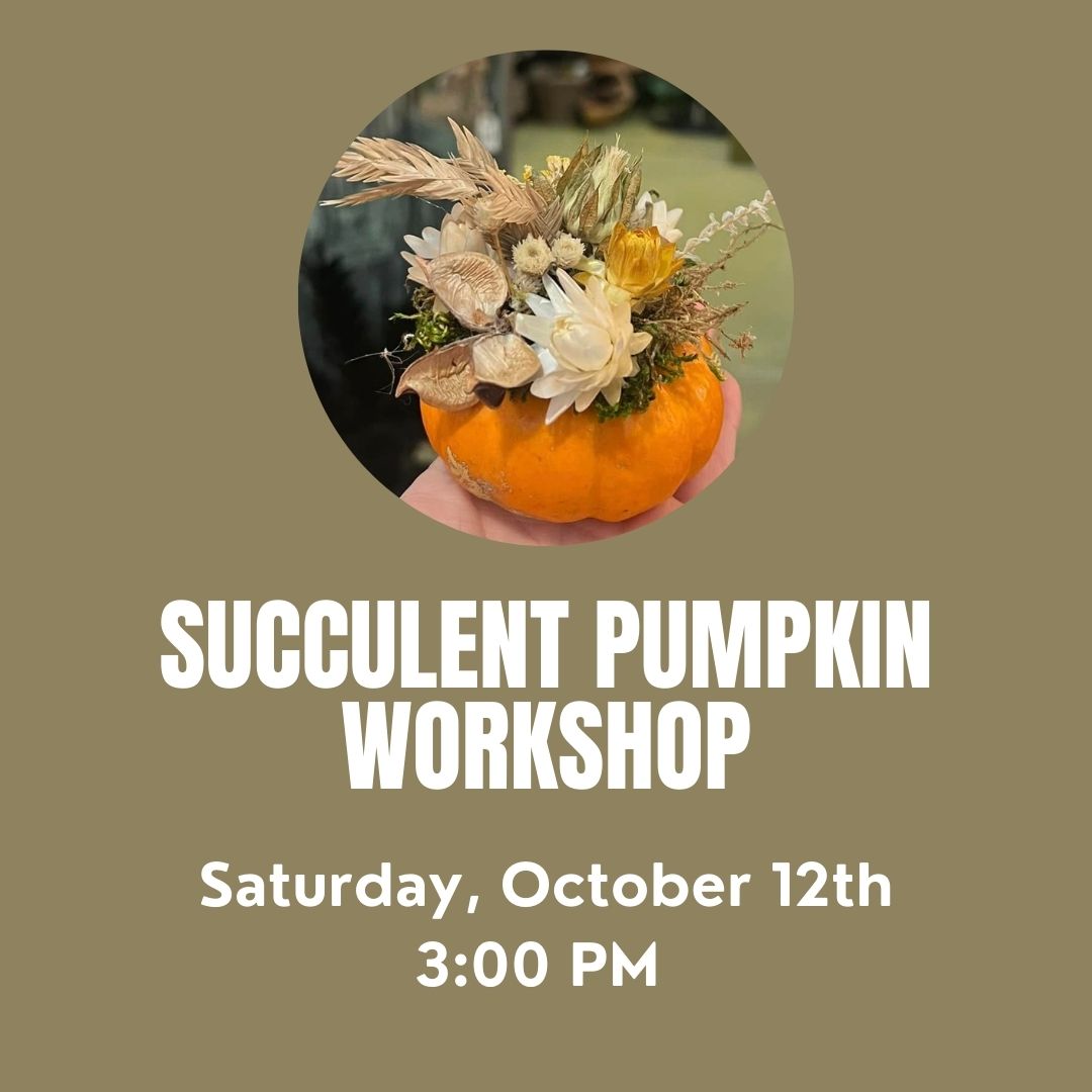 Succulent Pumpkin Workshop 10/12 3:00 PM