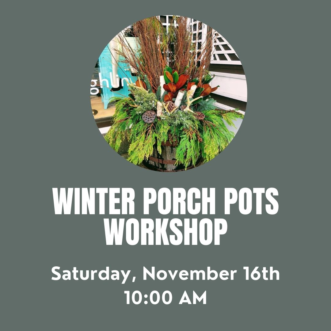 Winter Porch Pot Workshop 11/16 at 10:00 AM