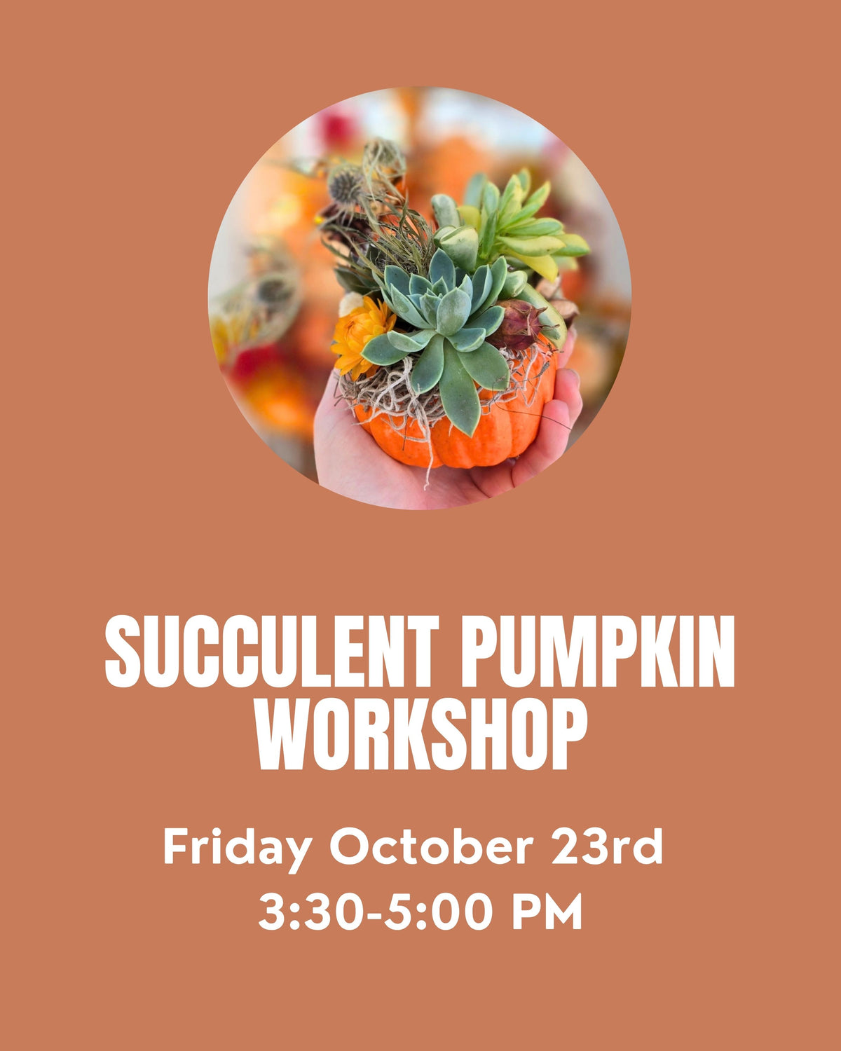 Succulent Pumpkin Workshop Friday 10/23 @ 3:30 PM
