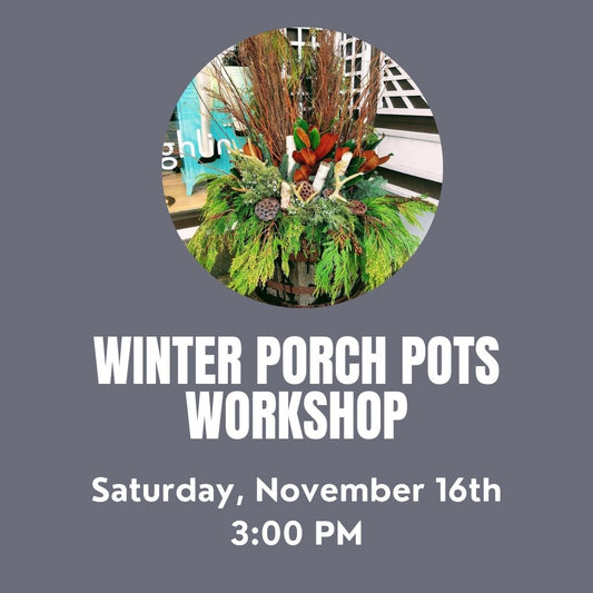 Winter Porch Pot Workshop 11/16 at 3:00 PM