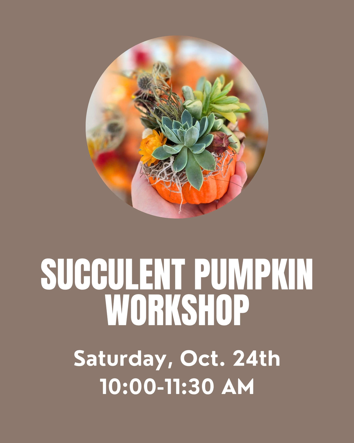 Succulent Pumpkin Workshop Saturday 10/24 @ 10:00 AM