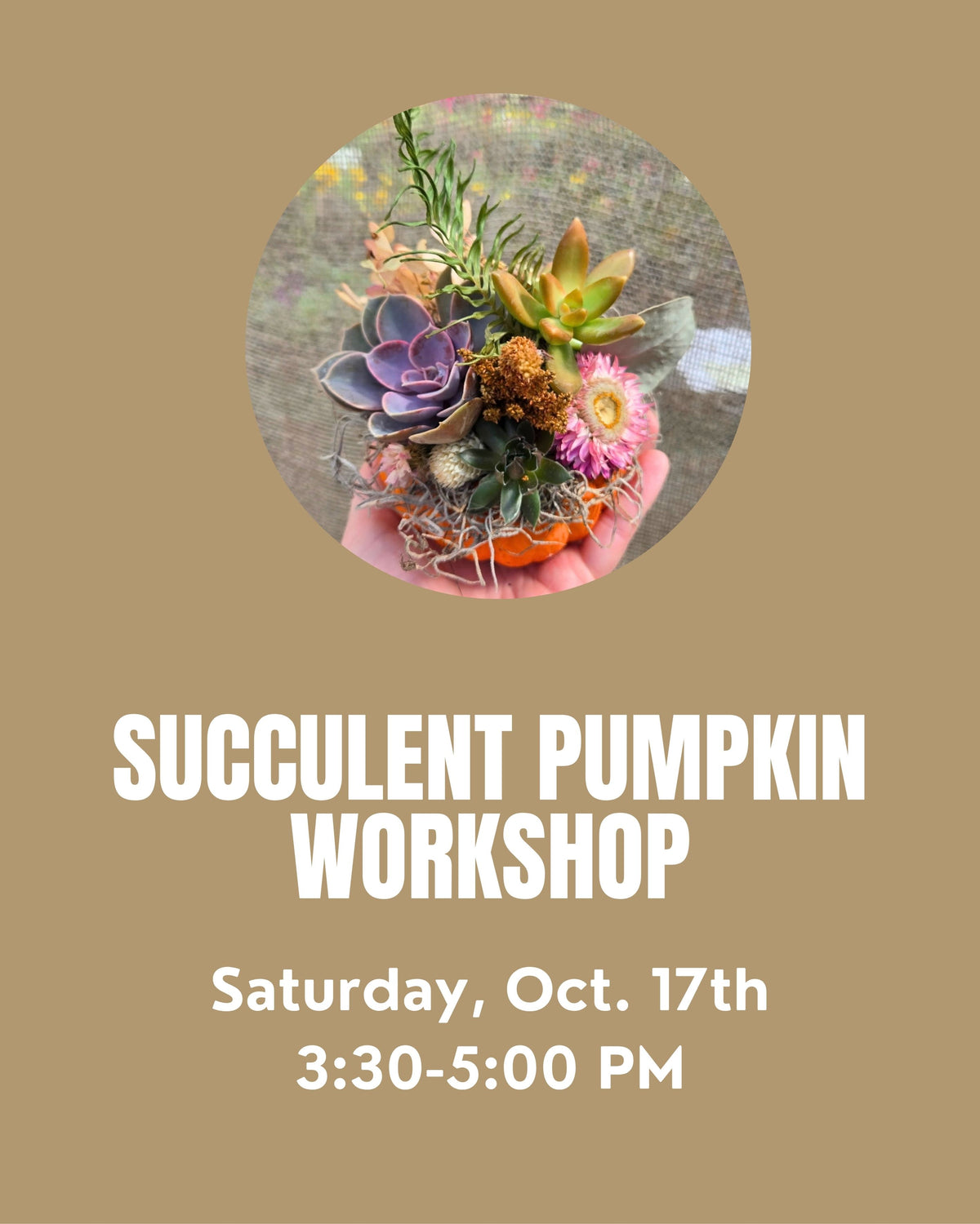 Succulent Pumpkin Workshop Friday 10/17 @ 3:30 PM