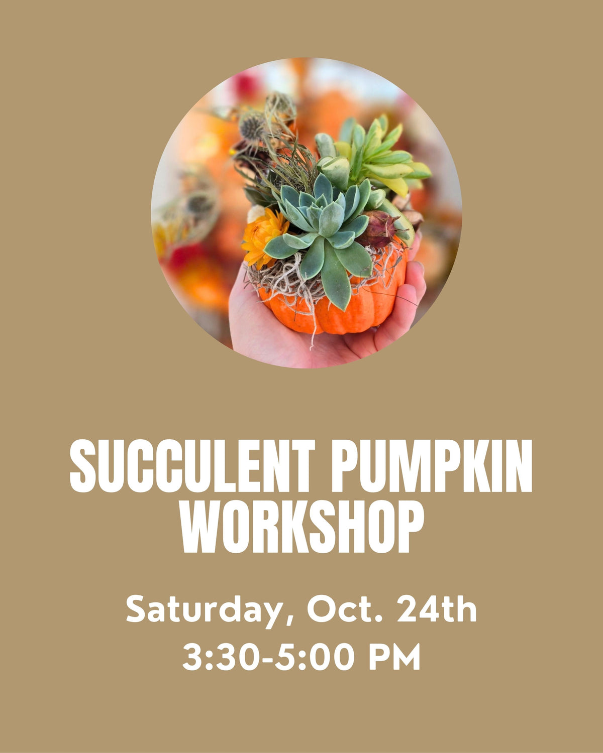 Succulent Pumpkin Workshop Saturday 10/24 @ 3:30 PM
