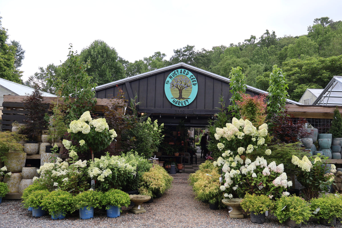 Shop The Mustard Seed Market & Home