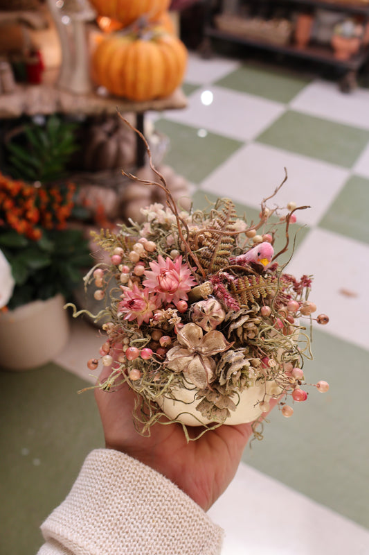 Small Succulent Pumpkin