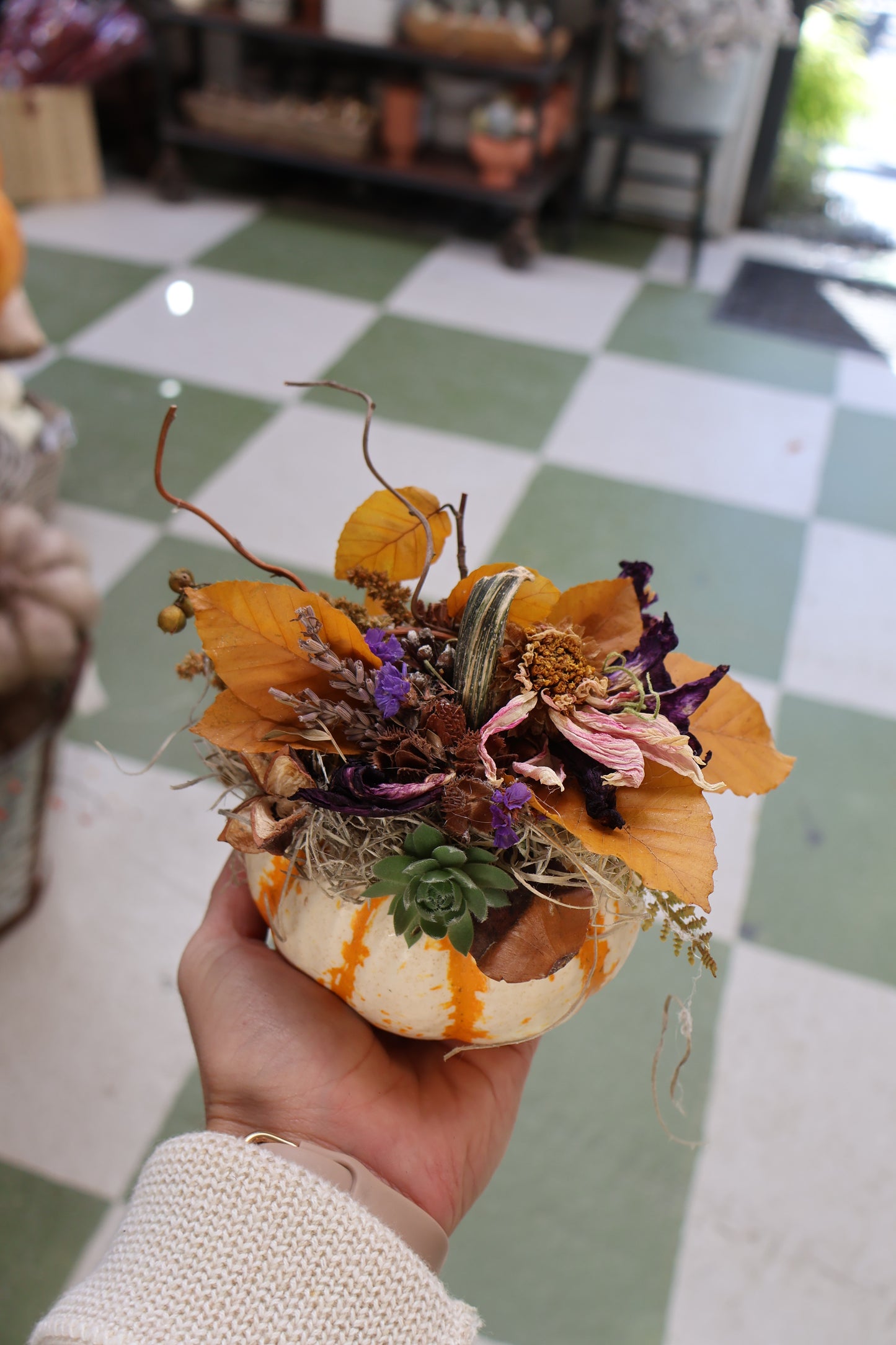 Small Succulent Pumpkin