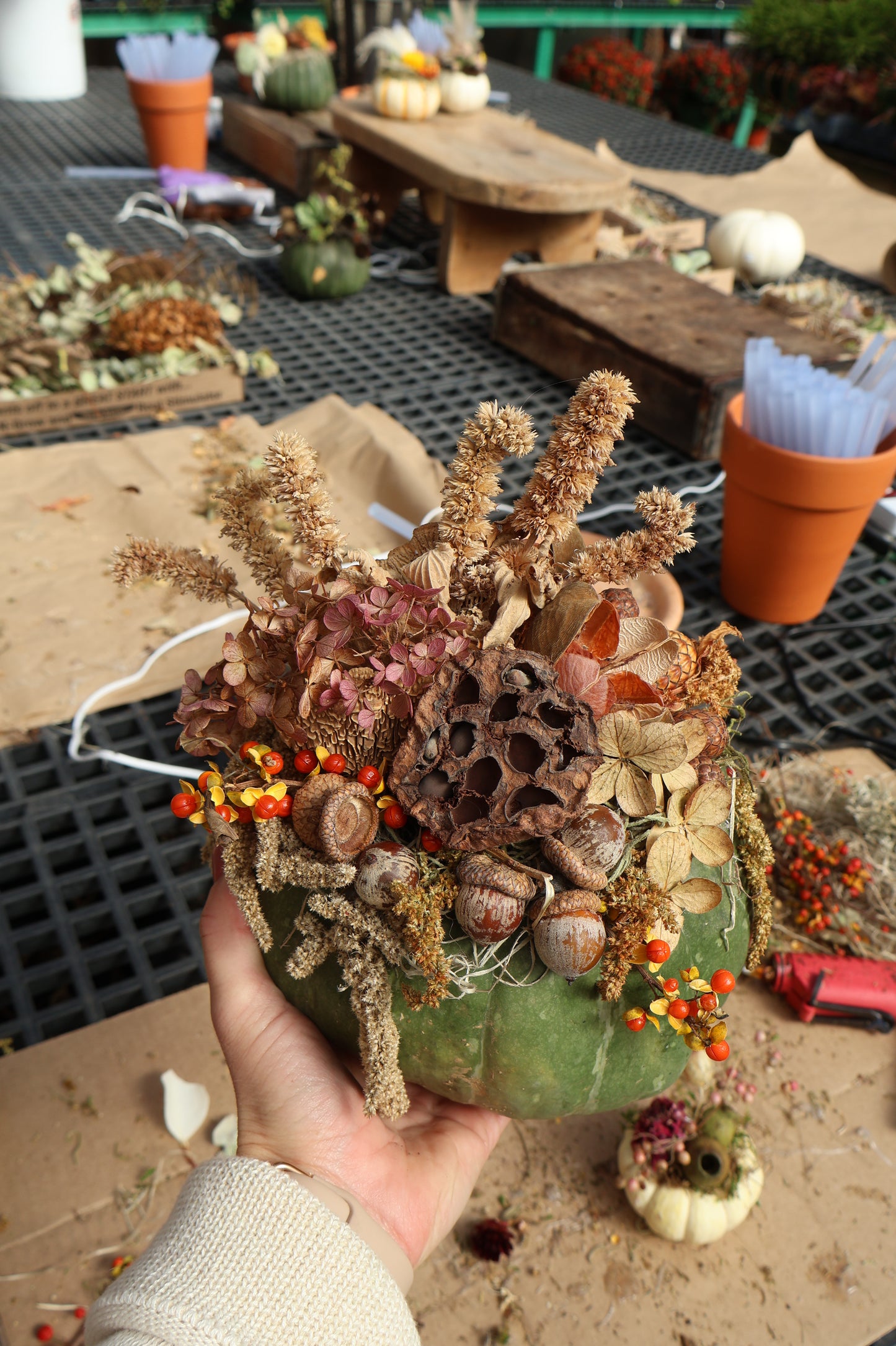 Small Succulent Pumpkin