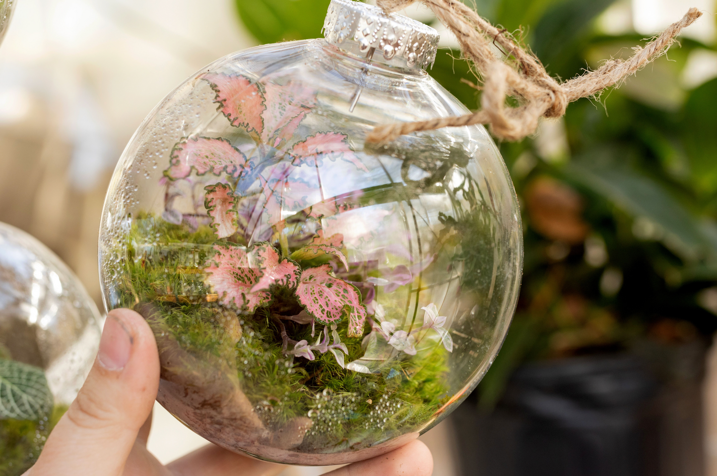 Terrarium Ornament Workshop with Izzy Hall 12/15 4:00 PM