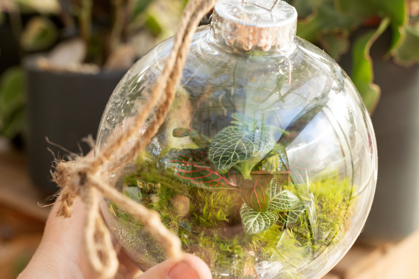 Terrarium Ornament Workshop with Izzy Hall 12/15 4:00 PM