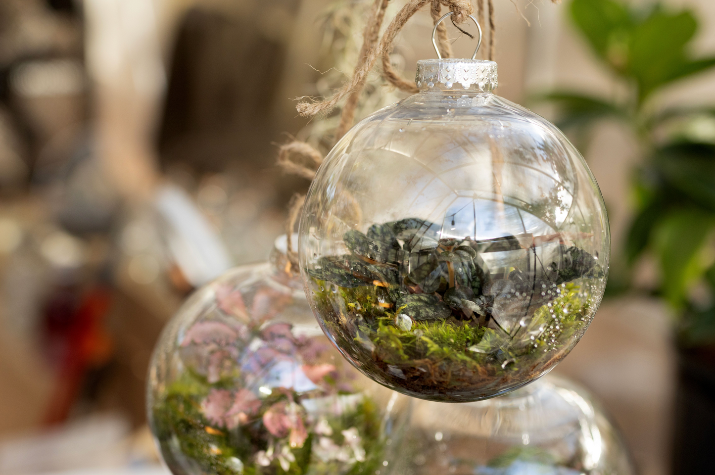 Terrarium Ornament Workshop with Izzy Hall 12/15 4:00 PM