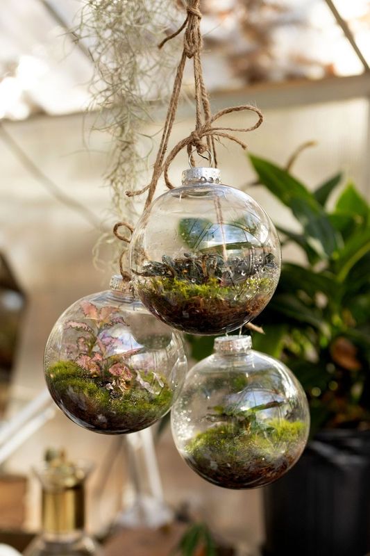 Terrarium Ornament Workshop with Izzy Hall 12/15 4:00 PM